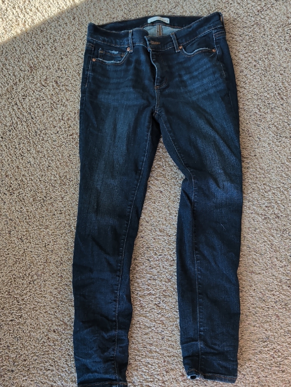 LOFT Midnight Blue Skinny Jeans